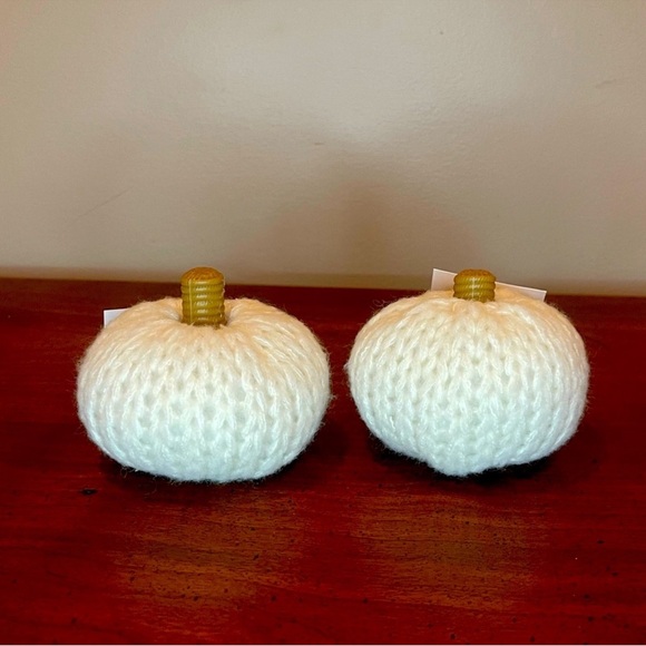 NWT Target Bullseye Playground Thanksgiving Fall Set of 2 Sweater Knit Pumpkins - Picture 1 of 4